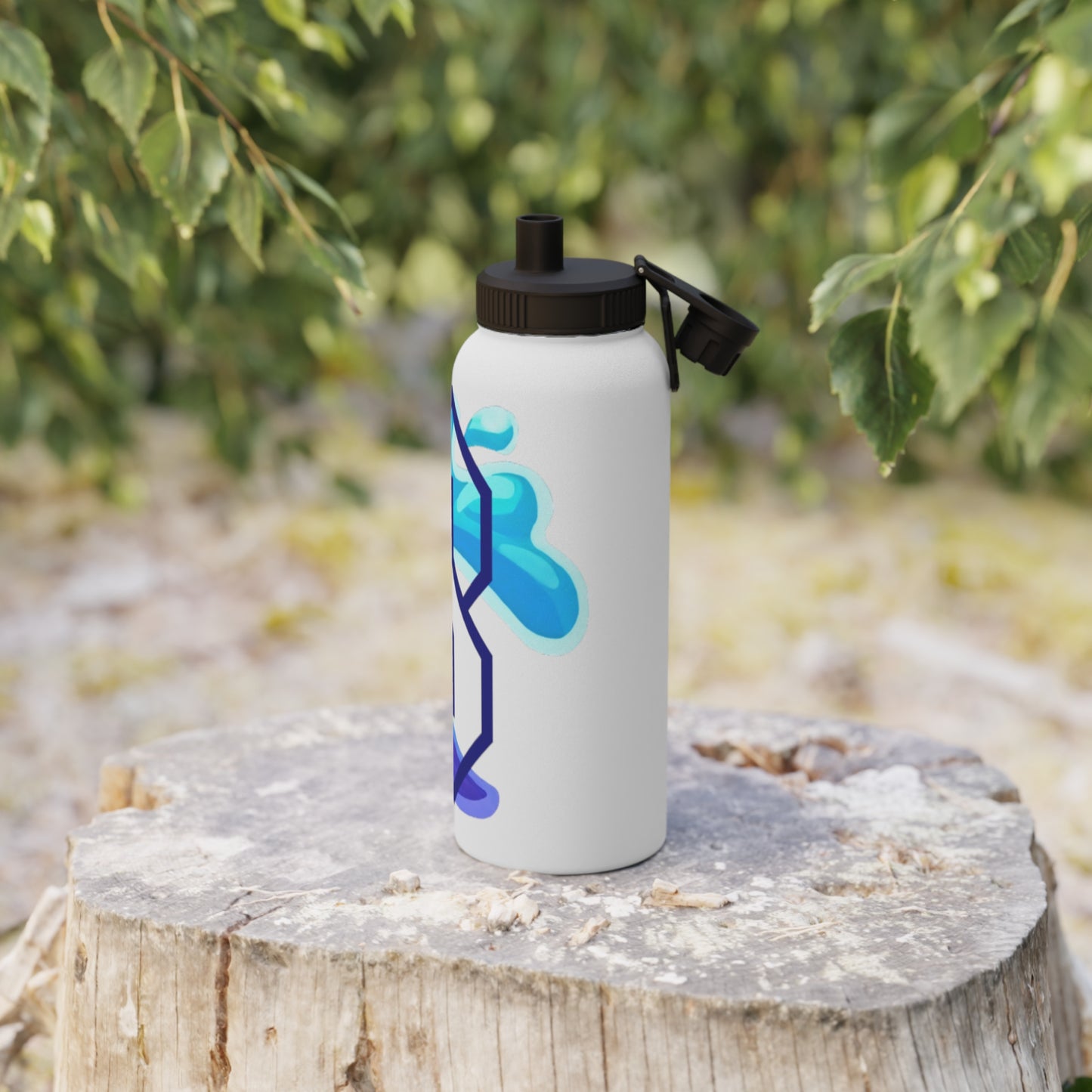 Stainless Steel Water Bottle, Gym Companion
