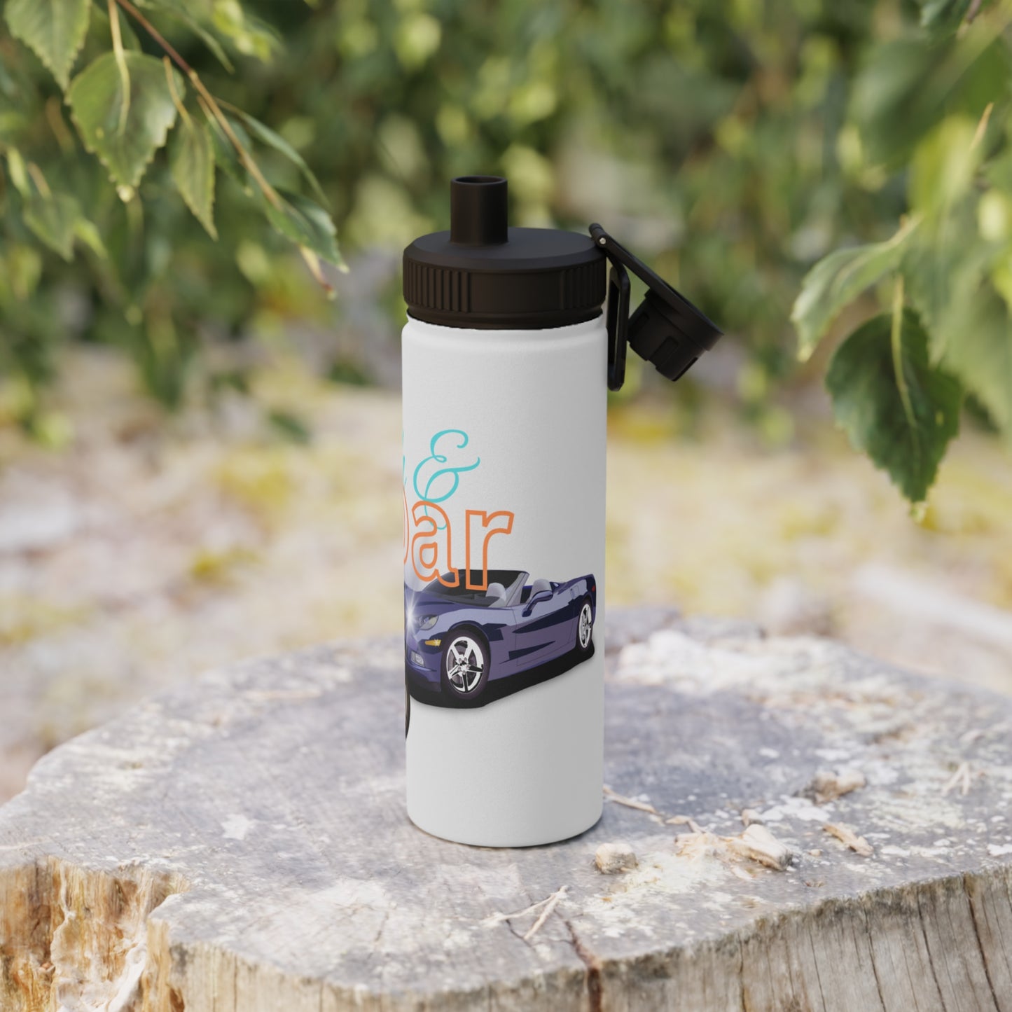 Stainless Steel Water Bottle