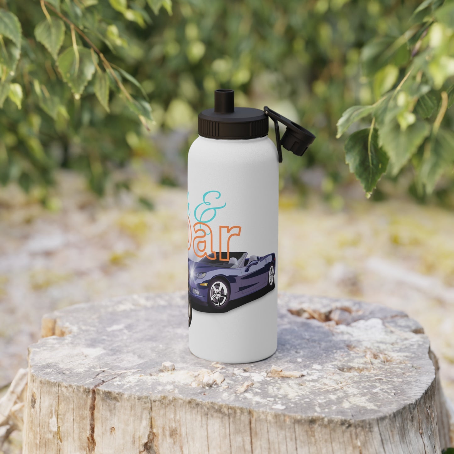 Stainless Steel Water Bottle