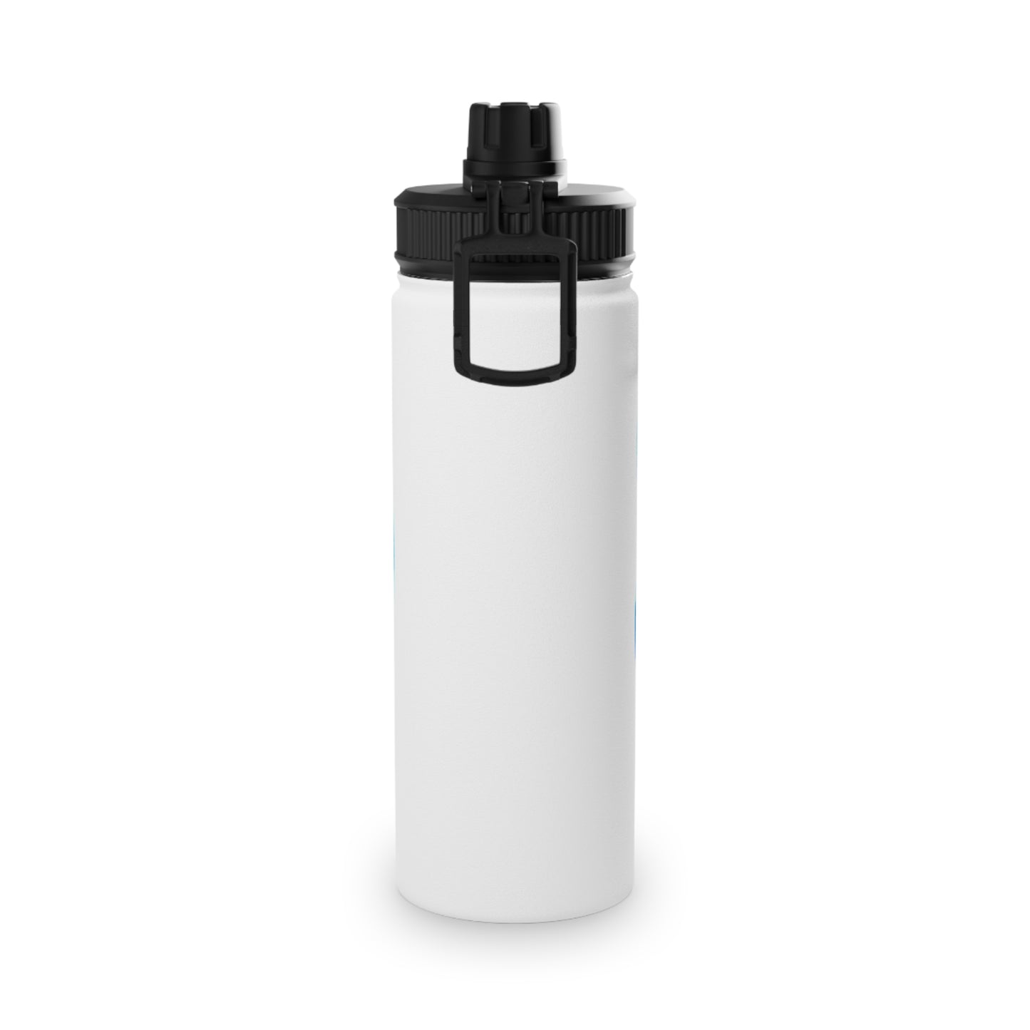 Stainless Steel Water Bottle, Gym Companion