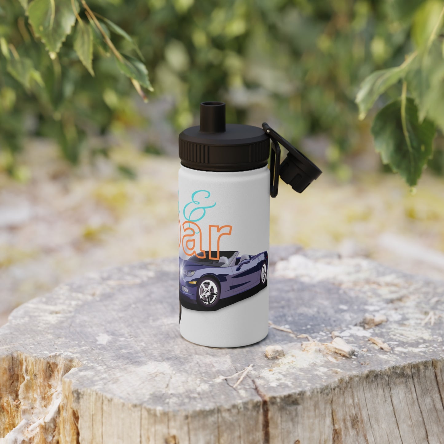 Stainless Steel Water Bottle